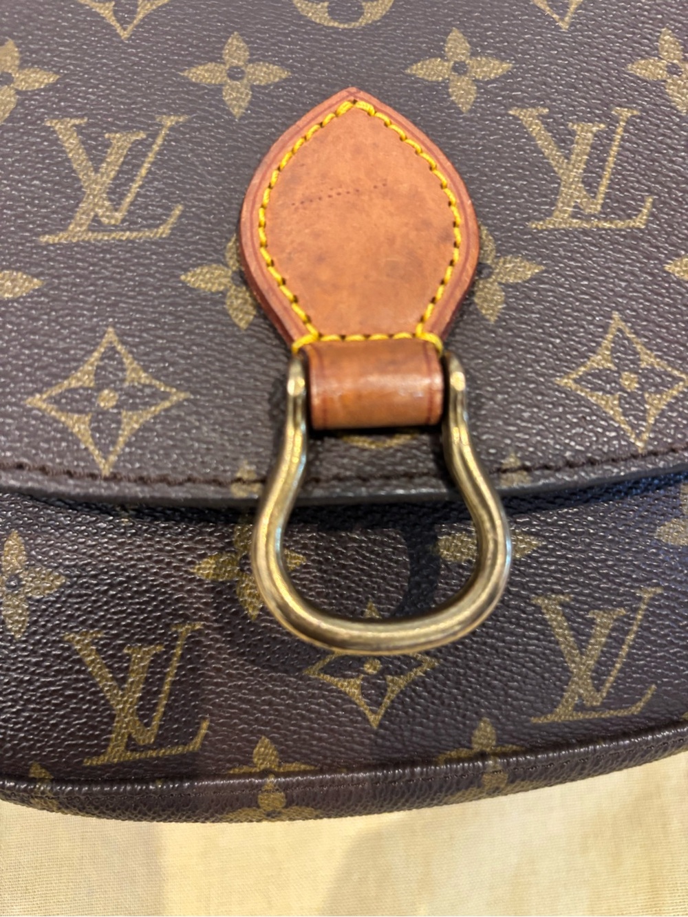 Louis Vuitton Monogram Saint Cloud Crossbody Bag - Picture 2 of 8
